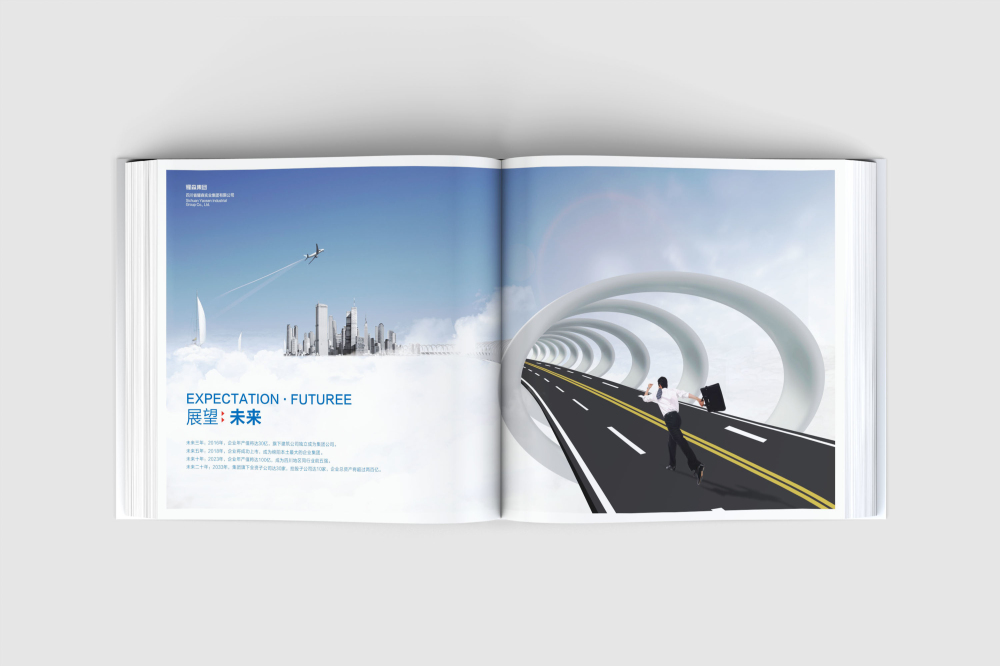 老边区画册设计